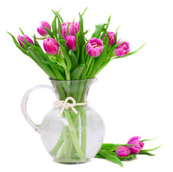 Similar image 1164925