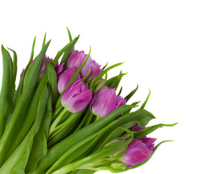 Similar image 1164935