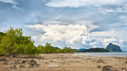 Similar image 1164999