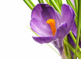 Similar image 1165049