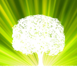 Similar image 1165066