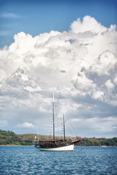 Similar image 1165109