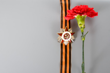 Similar image 1165160