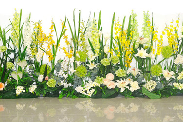 Similar image 1165221