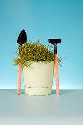 Similar image 1165309