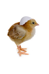 Similar image 1165313