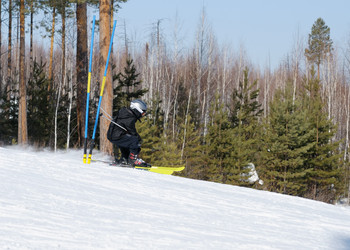 Similar image 1165317