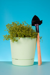 Similar image 1165331