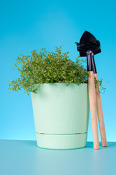 Similar image 1165332