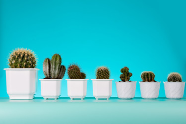 Similar image 1165334