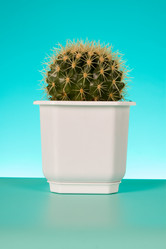 Similar image 1165335