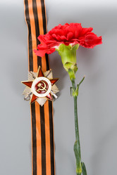 Similar image 1165386