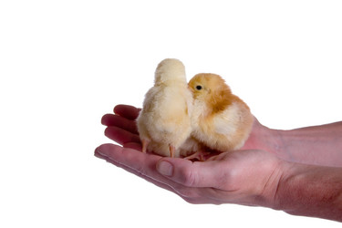 Similar image 1165392