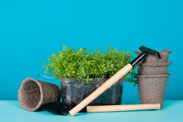 Similar image 1165468