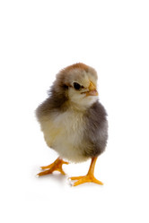 Similar image 1165469