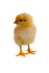 Similar image 1165470