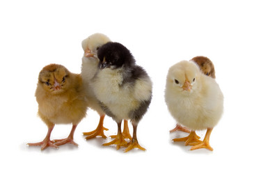 Similar image 1165472