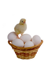 Similar image 1165474