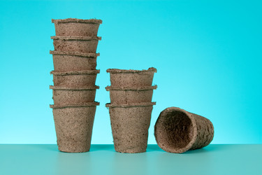 Similar image 1165485