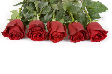 Similar image 1165491