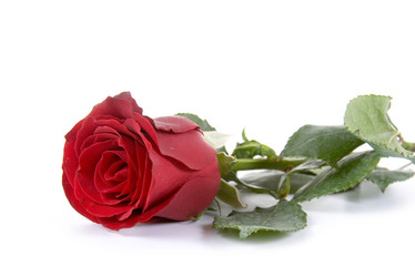 Similar image 1165493