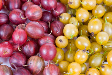 Similar image 1165498