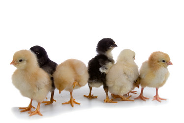 Similar image 1165504