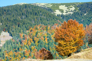 Similar image 1165528