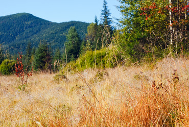 Similar image 1165544