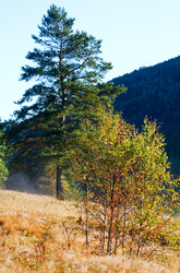 Similar image 1165548