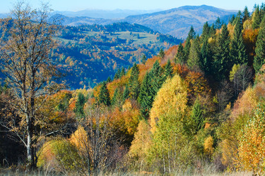 Similar image 1165553