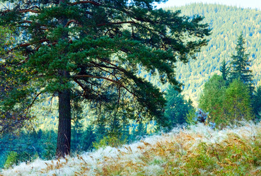 Similar image 1165554