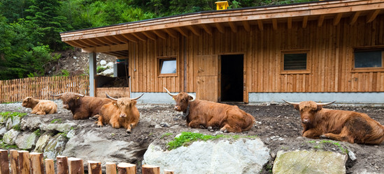 Similar image 1165571