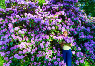 Similar image 1165573