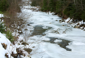 Similar image 1165574