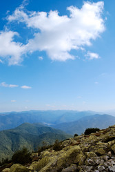 Similar image 1165599