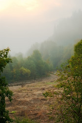 Similar image 1165600