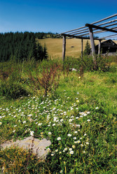 Similar image 1165601