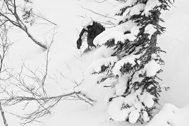 Similar image 1165605