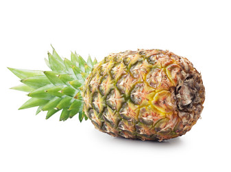 Similar image 1165640