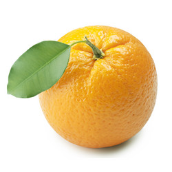 Similar image 1165641