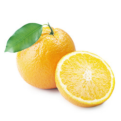 Similar image 1165643