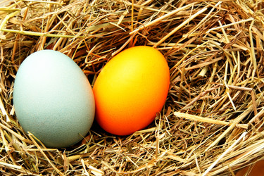 Similar image 1165671