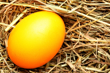 Similar image 1165678