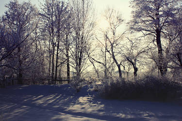 Similar image 1165705