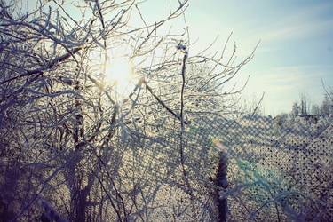 Similar image 1165709