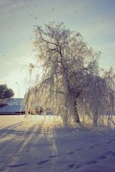 Similar image 1165710