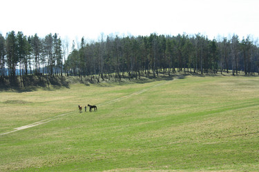 Similar image 1165713