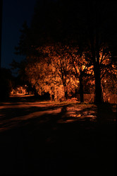 Similar image 1165714