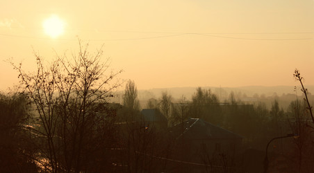 Similar image 1165716